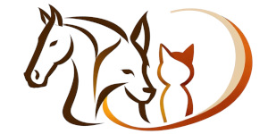 logo-vavamana