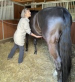 Bauch andere Seite befühlt