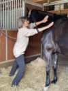 Desty, Lehnen Hals
