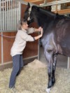 Desty, Lehnen Schulter