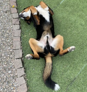 Luigi vor der Session