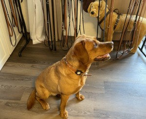 Nayla vor der Session